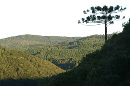 Gramado, mountains